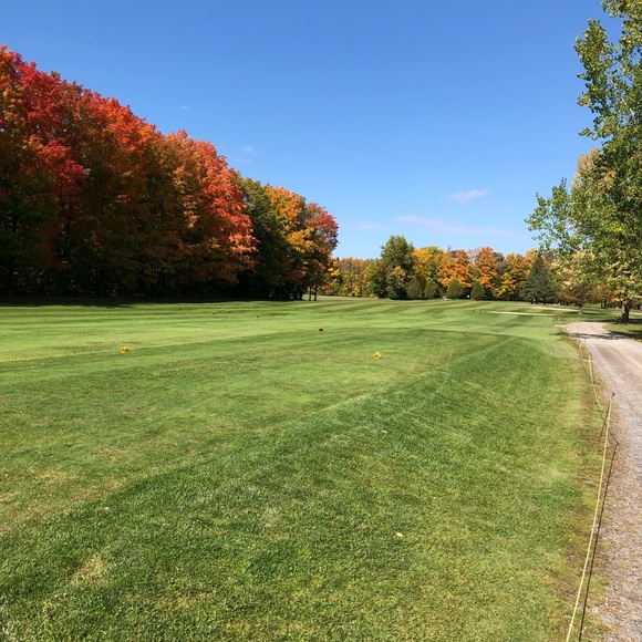 Meet your Posher, JR - Picture 1 of 1